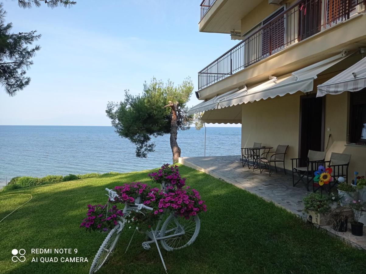 Sunset Apartment 埃帕诺米 外观 照片